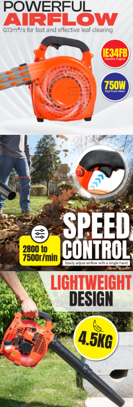 Screenshot 2025-07-01 151649